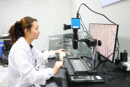 最美生產(chǎn)線 走進(jìn)中紡聯(lián)檢上海，探索檢驗(yàn)技術(shù)服務(wù)的卓越之旅