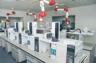 廣州廣電計(jì)量檢測(cè)股份 打造一流計(jì)量檢測(cè)技術(shù)服務(wù)專業(yè)機(jī)構(gòu)